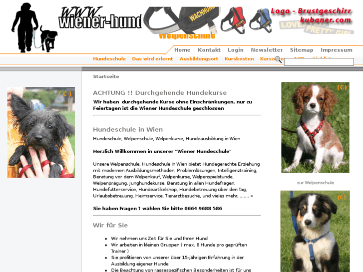 www.hundeschule.info