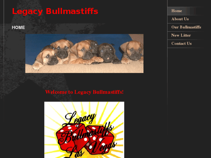 www.legacybullmastiffs.com