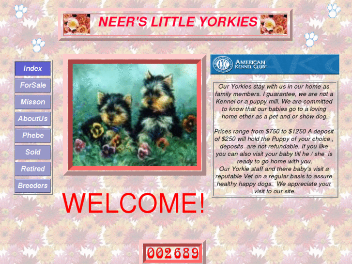 www.neerslittleyorkies.com