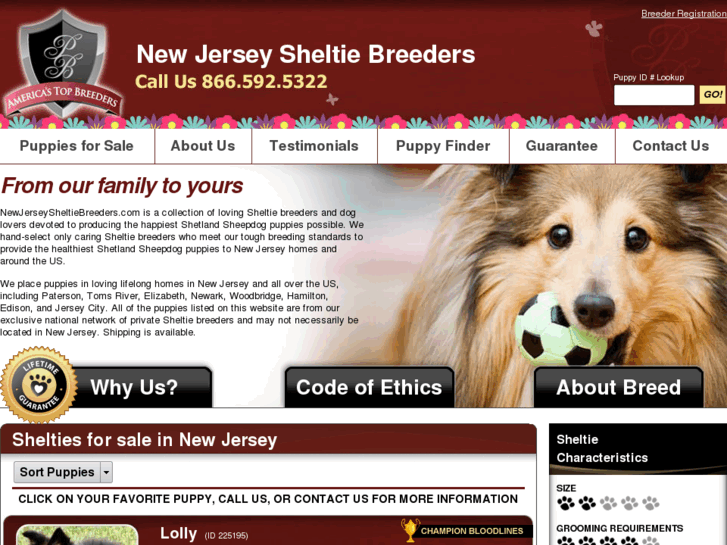 www.newjerseysheltiebreeders.com