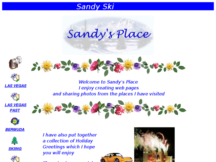 www.sandysi.com
