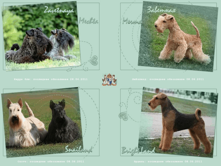 www.saratovterrier.ru