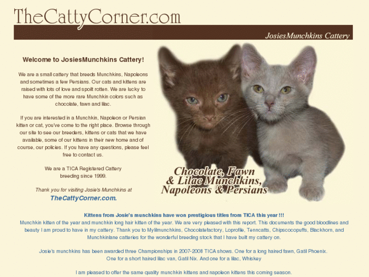 www.thecattycorner.com