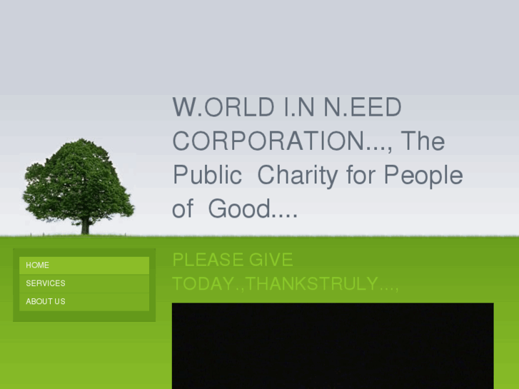 www.worldinneedcorporation.com