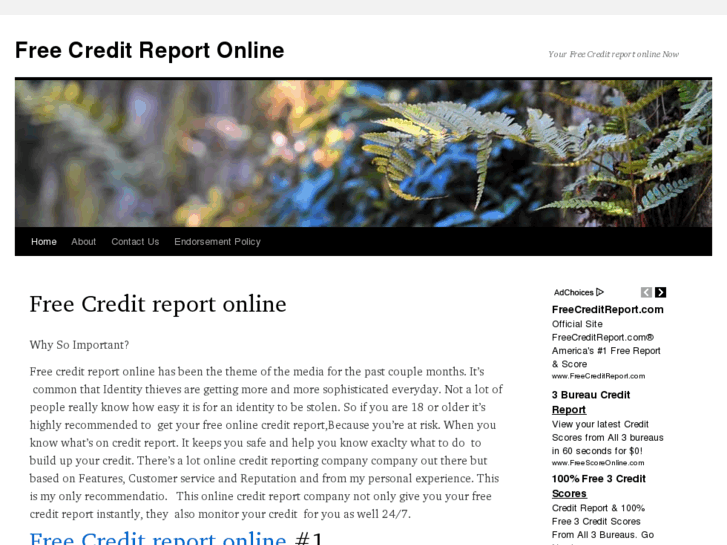 www.freecreditreportonlineinstantly.com
