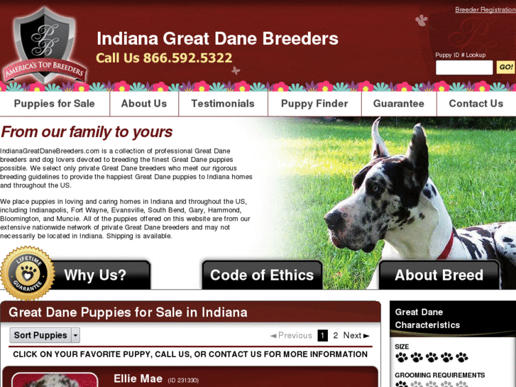 www.indianagreatdanebreeders.com