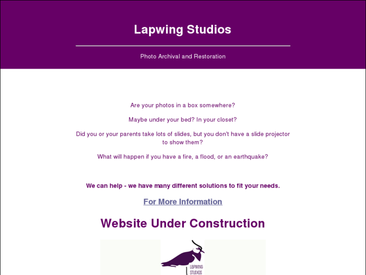 www.lapwingstudios.com