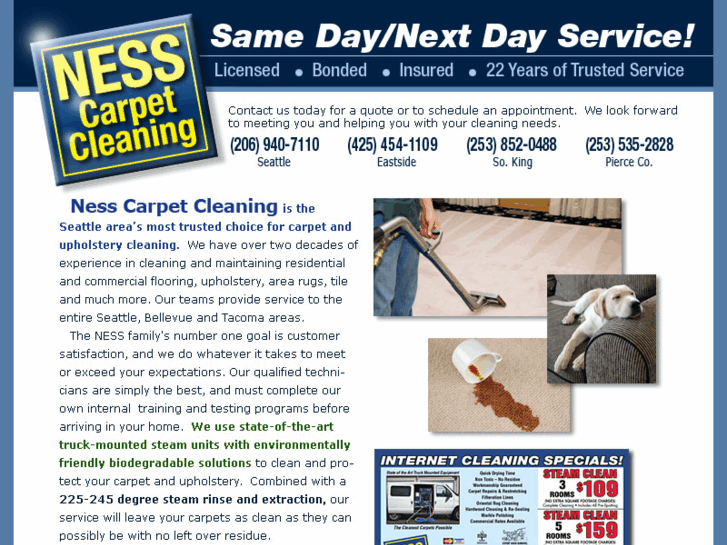 www.nesscarpetcleaning.com