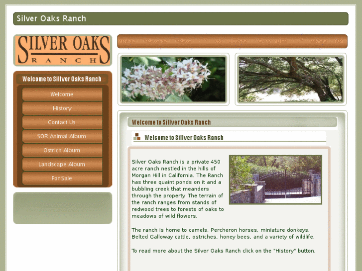 www.silveroakranch.com