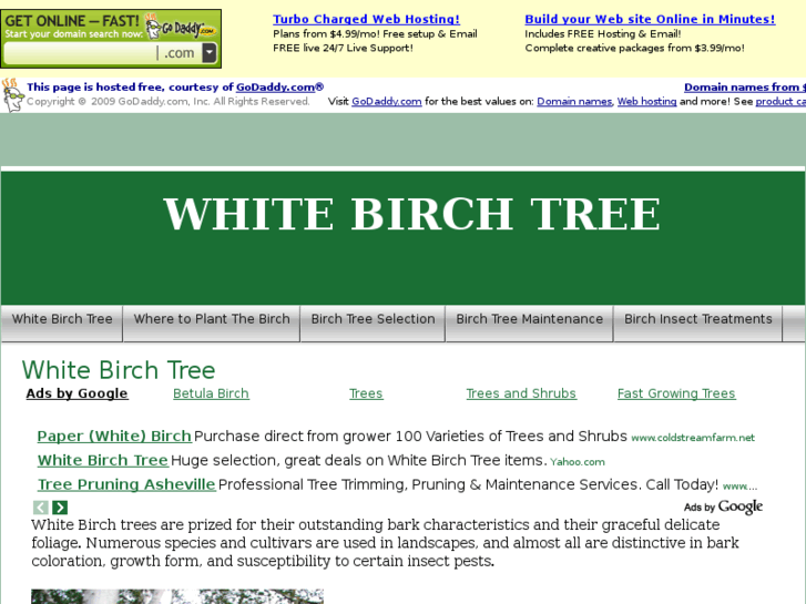 www.whitebirchtree.com