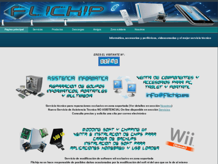 www.flichip.es