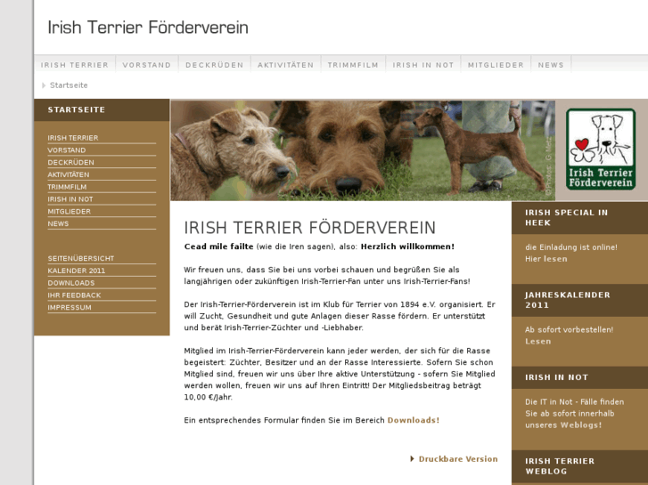 www.foerderverein-irish-terrier.de