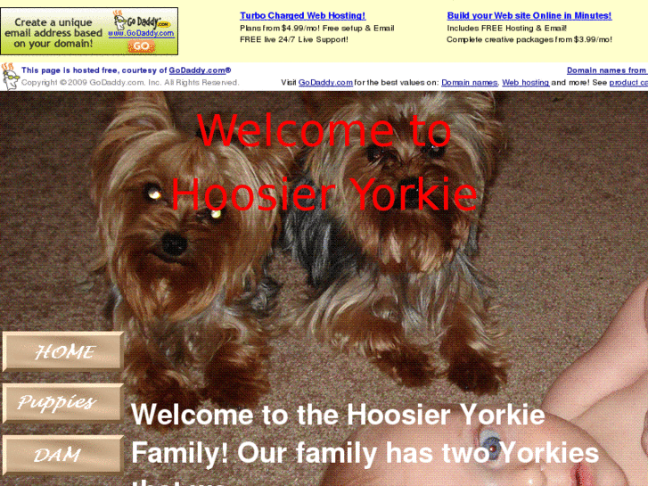 www.hoosieryorkie.com