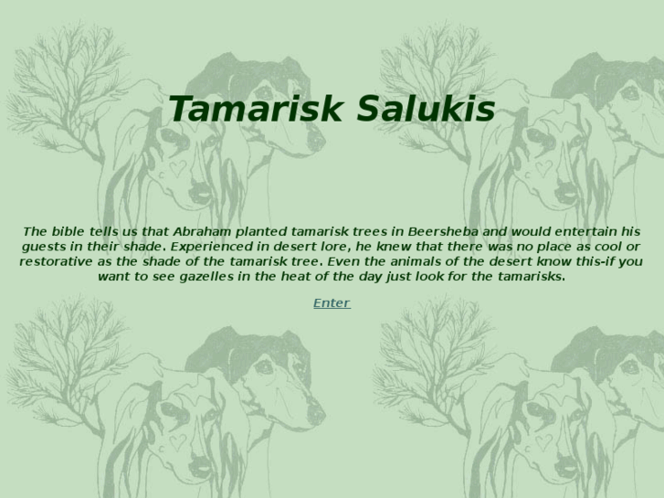 www.tamarisksalukis.com