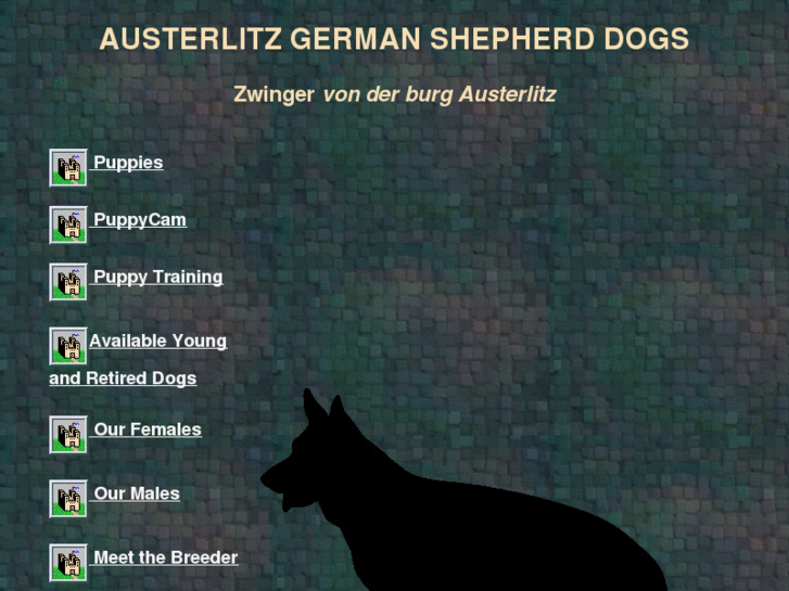 www.austerlitzshepherds.com