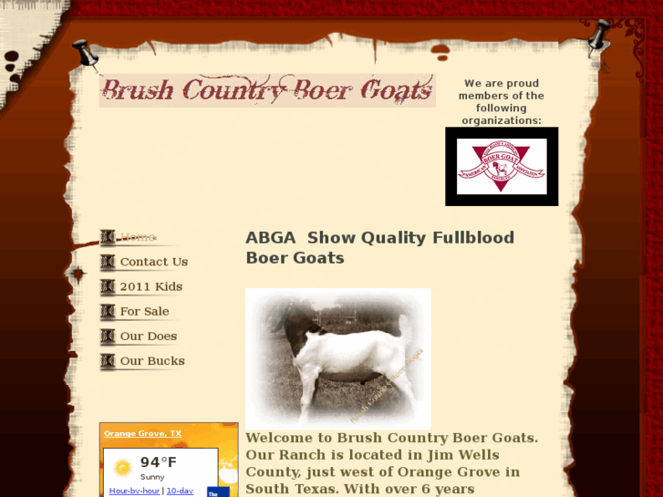 www.brushcountryboergoats.com