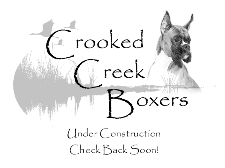 www.crookedcreekboxers.com