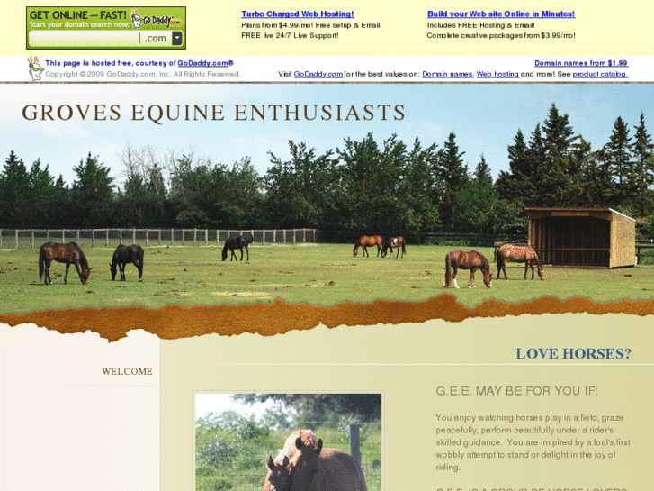 www.grovesequineenthusiasts.org