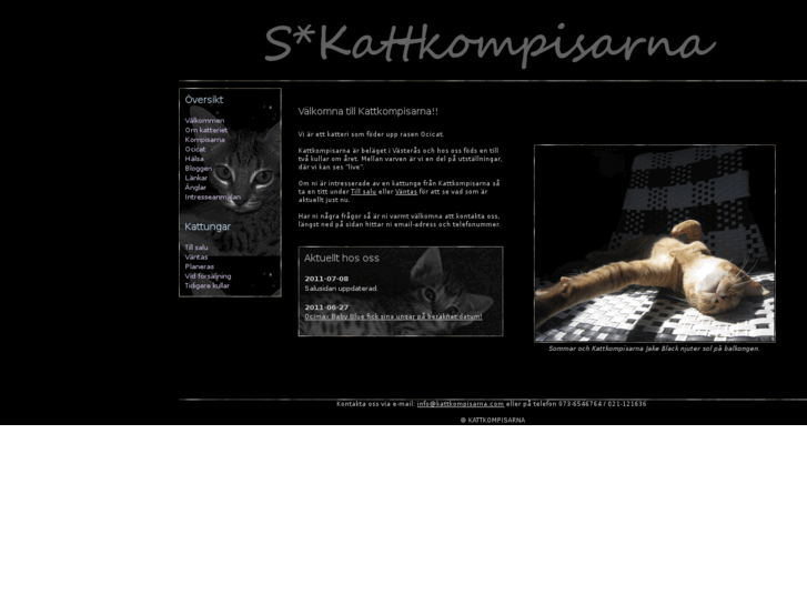 www.kattkompisarna.com