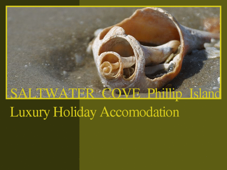 www.saltwatercovephillipisland.com