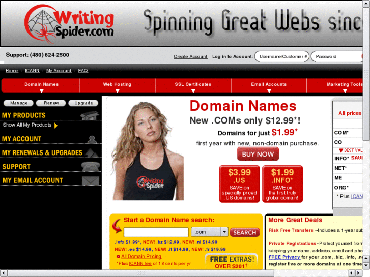 www.writingspider.com