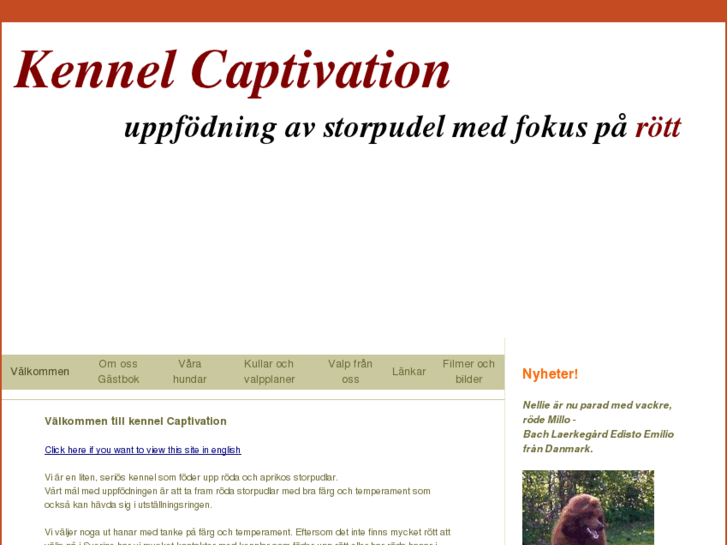 www.captivation.se