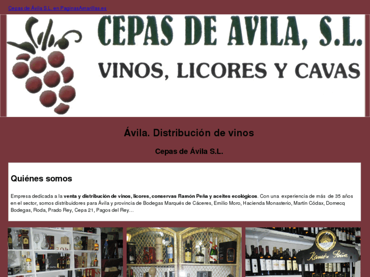 www.cepasdeavila.com