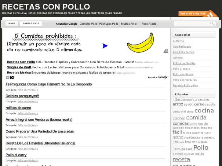 www.recetasconpollo.info