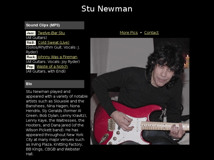 www.stunewman.com