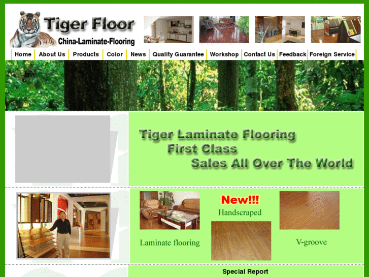 www.china-laminate-flooring.com