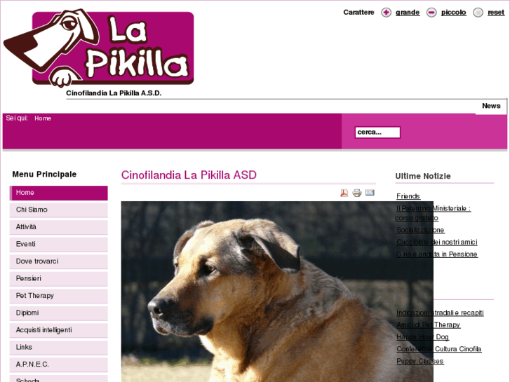 www.lapikilla.com