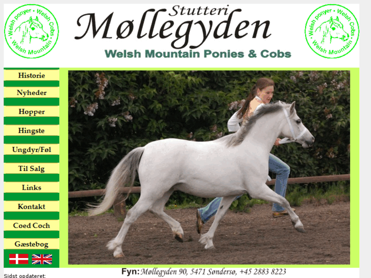 www.mollegydenstud.com