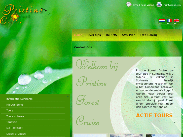 www.pristineforestcruise.com