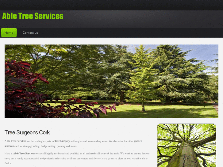 www.treesurgeoncork.com