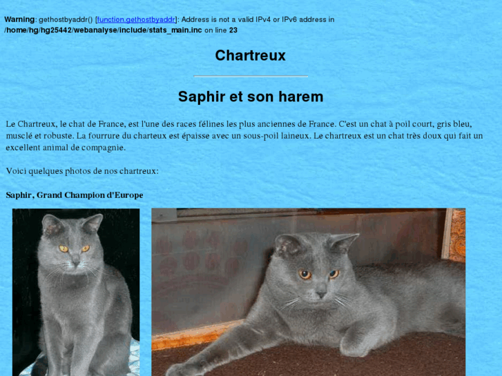 www.chats-chartreux.com