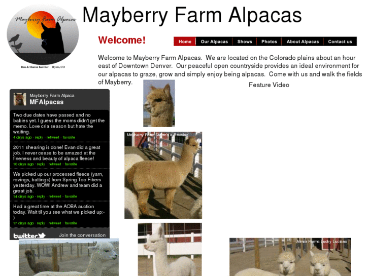 www.mayberryfarmalpacas.com