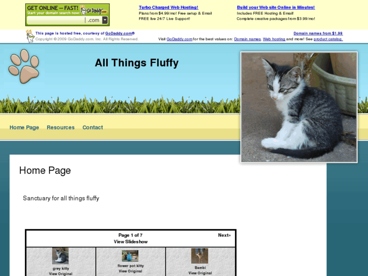 www.allthingsfluffy.com