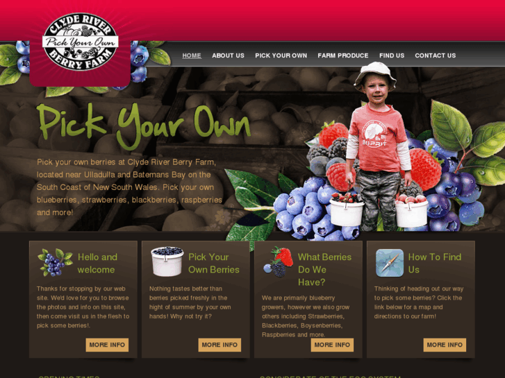 www.clyderiverberryfarm.com.au