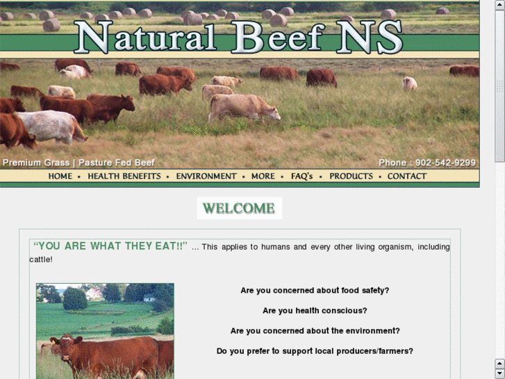 www.naturalbeefns.com