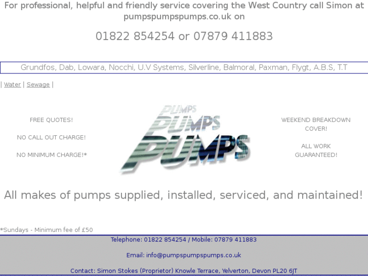 www.pumpspumpspumps.co.uk
