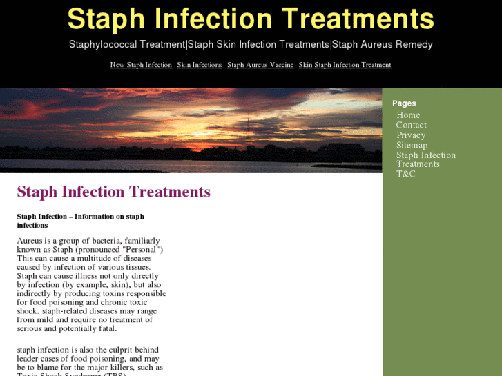 www.staphinfectionstreatments.com