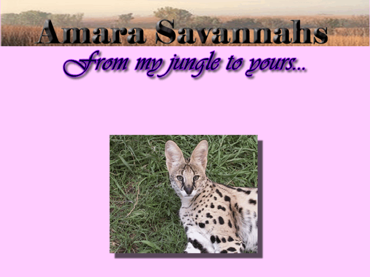 www.amarasavannahs.com
