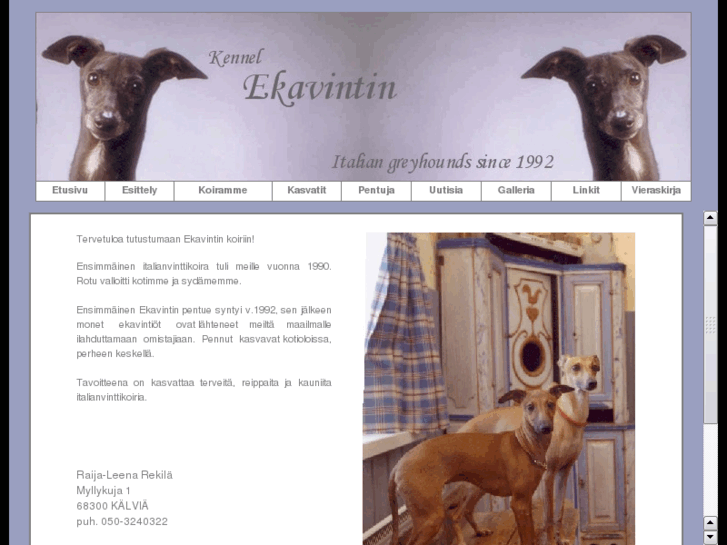 www.ekavintin.com