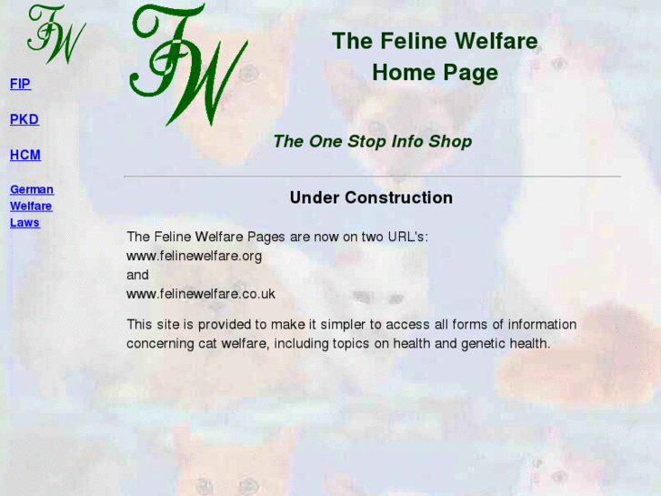 www.felinewelfare.com