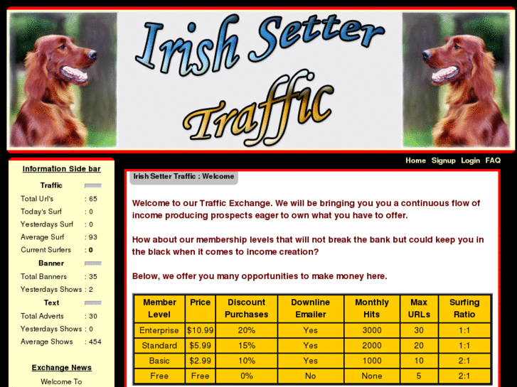 www.irishsettertraffic.info