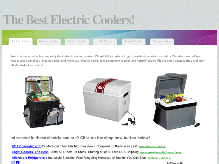 www.electriccoolers.org