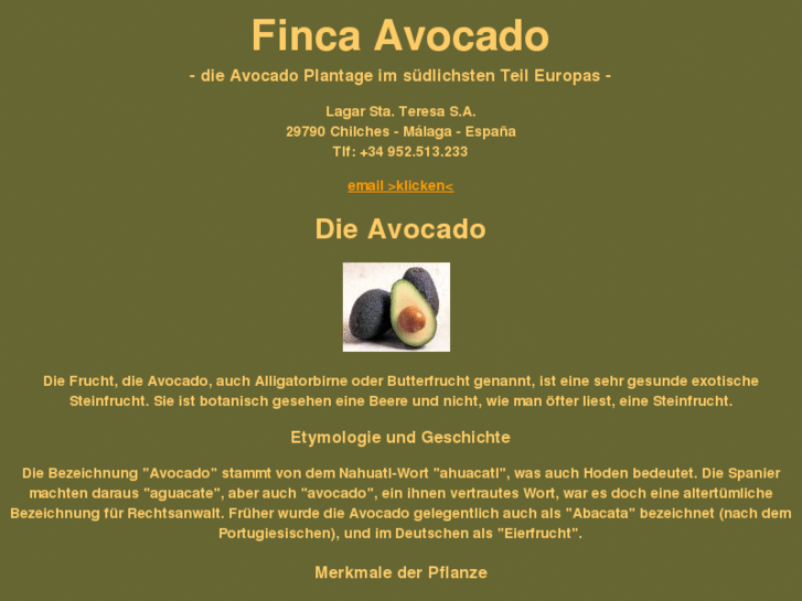 www.finca-avocado.com