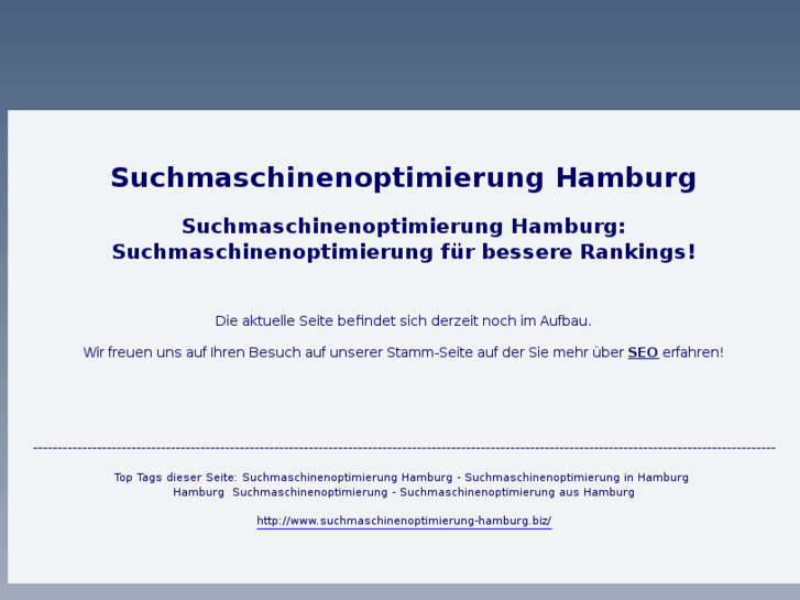 www.suchmaschinenoptimierung-hamburg.biz