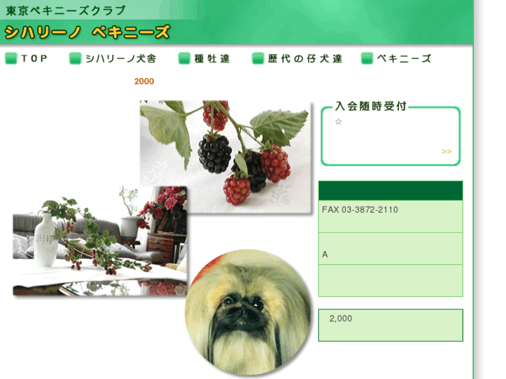 www.tokyo-pekingese.com