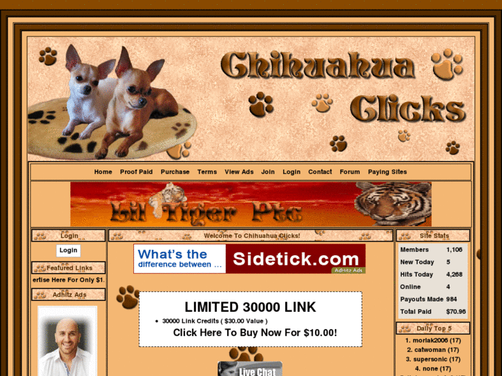 www.chihuahua-clicks.info